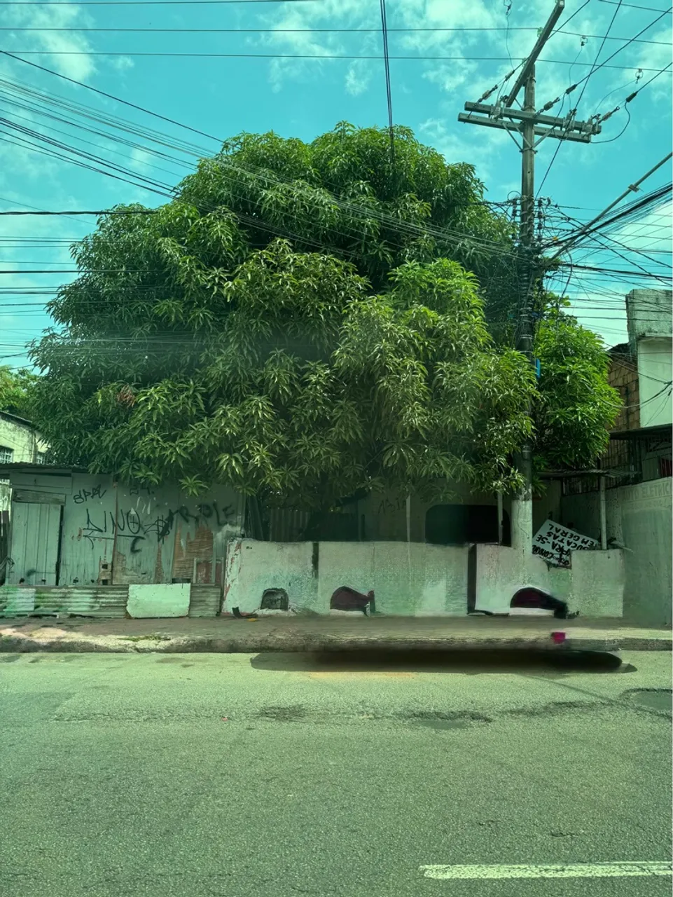 Terreno na Praça 14. Av Duque de Caxias