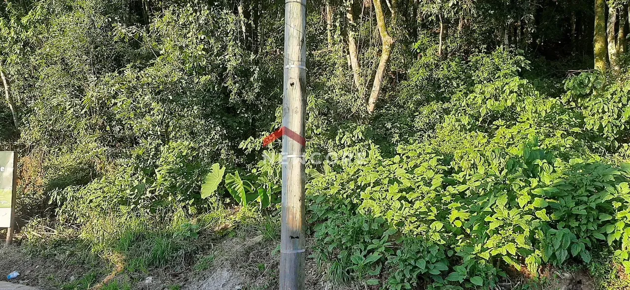 Lote em Rua Abel Parmegiani - Floresta - Gramado/RS