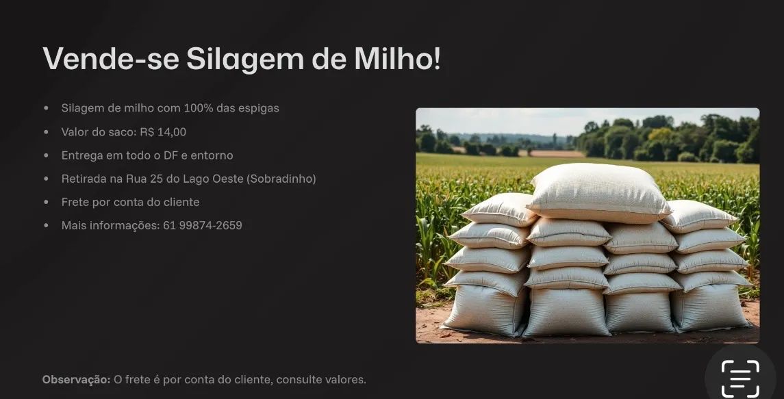 Silagem de milho 100% das espigas - DF