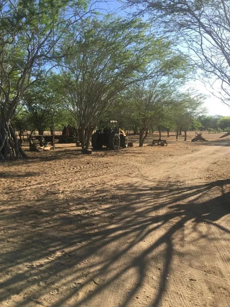 Fazenda 300 hec, BR 232 Passando Dentro, São Caetano, Vendo Desmembrada, Valor p/hec - Foto 12