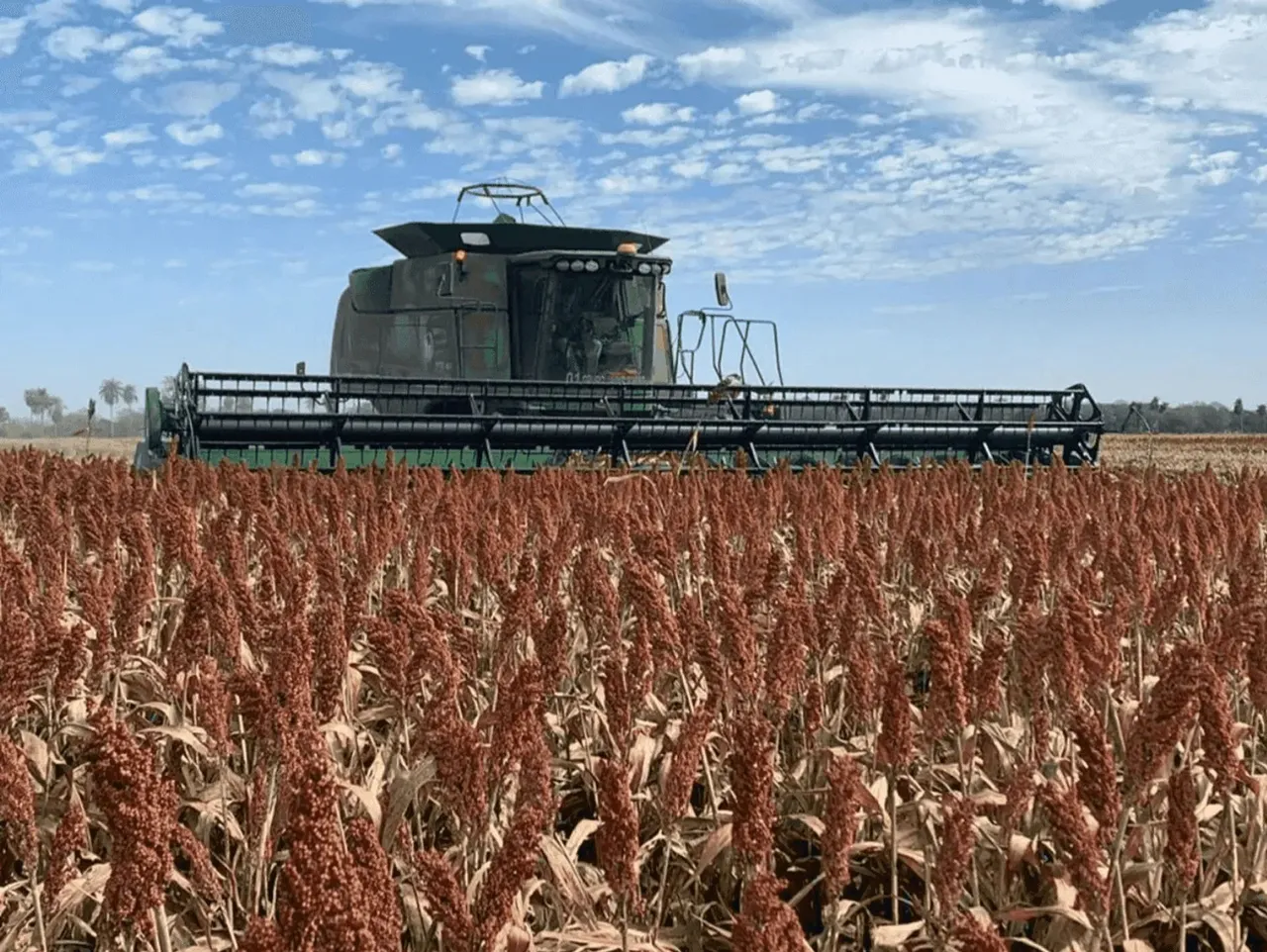 Mato Grosso/ Bonito/ Guia Lopes, Fazenda 2633 Hectares, Plantando 2.100 Hectares, de frent