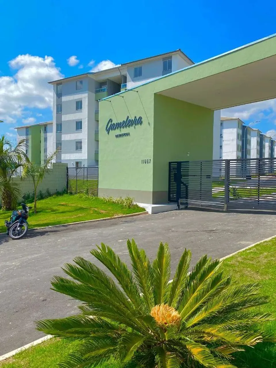 Aluguel Residential / Apartment Belo Horizonte MG