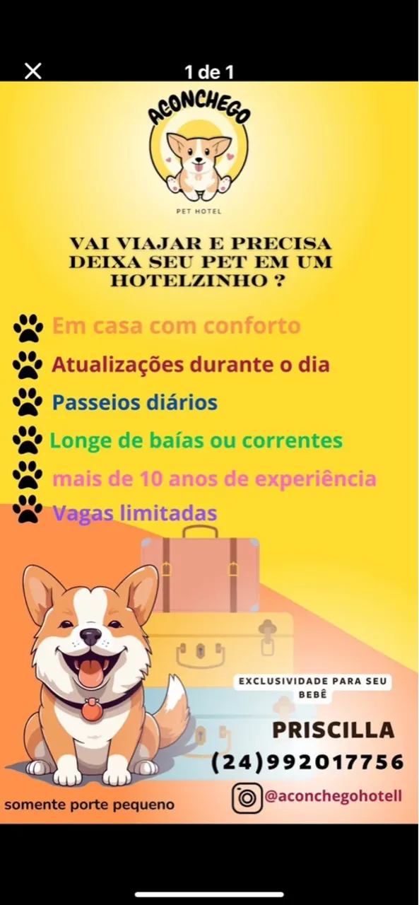 Hotelzinho para seu Pet: Conforto e Cuidado!