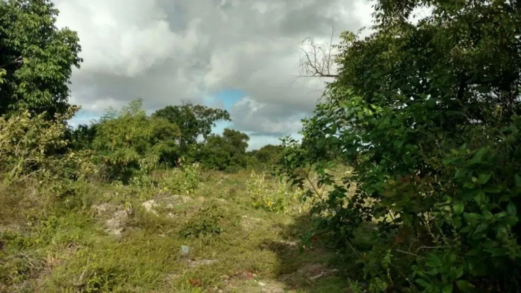 Excelente Área no Altiplano