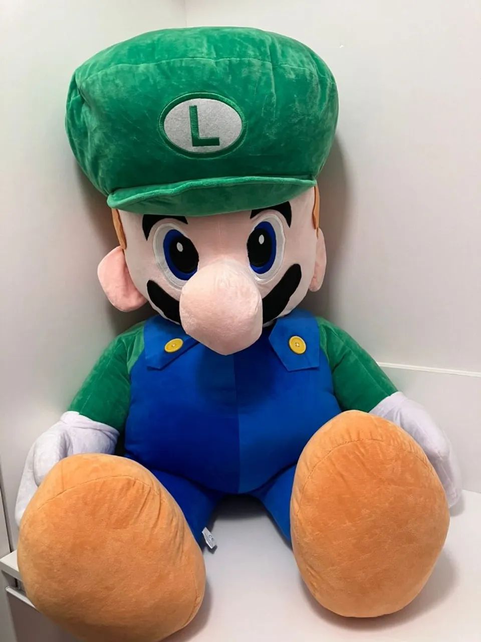 Mario e Luigi  - Foto 5