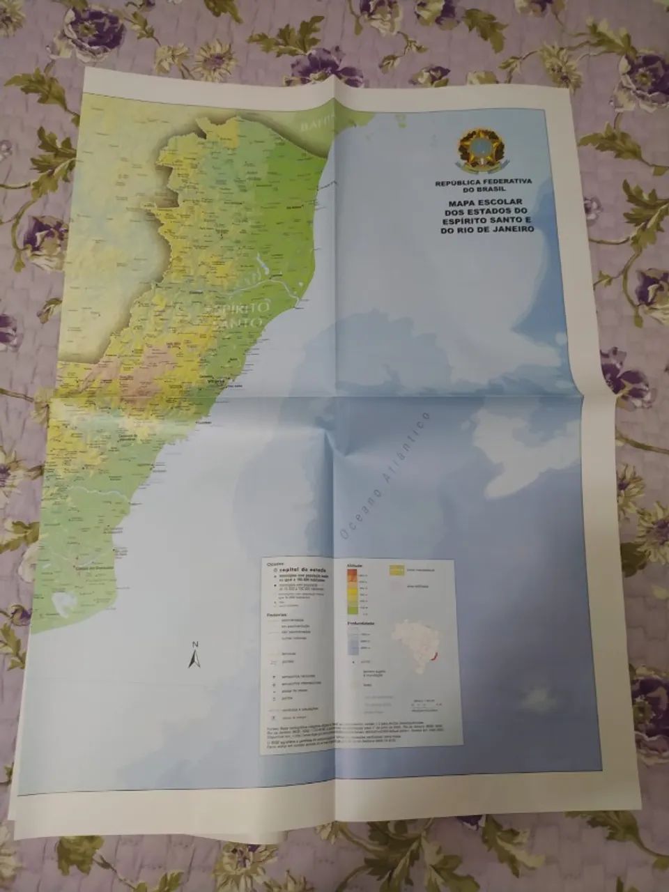 Mapa Escolar Dos Estados Do Espírito Santo E Rio De Janeiro - Foto 2