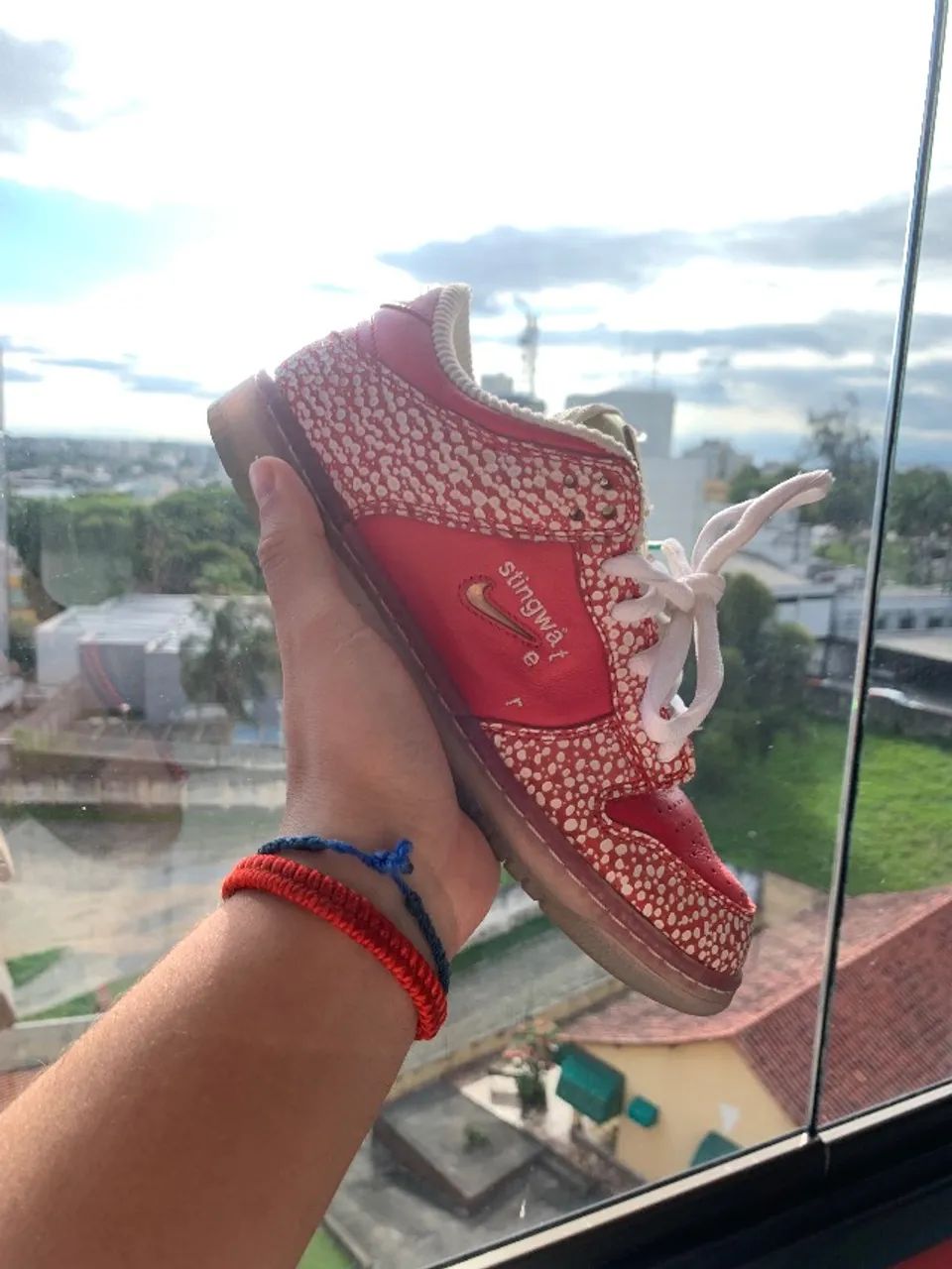 Nike dunk low Stingwater Magic Mushroom