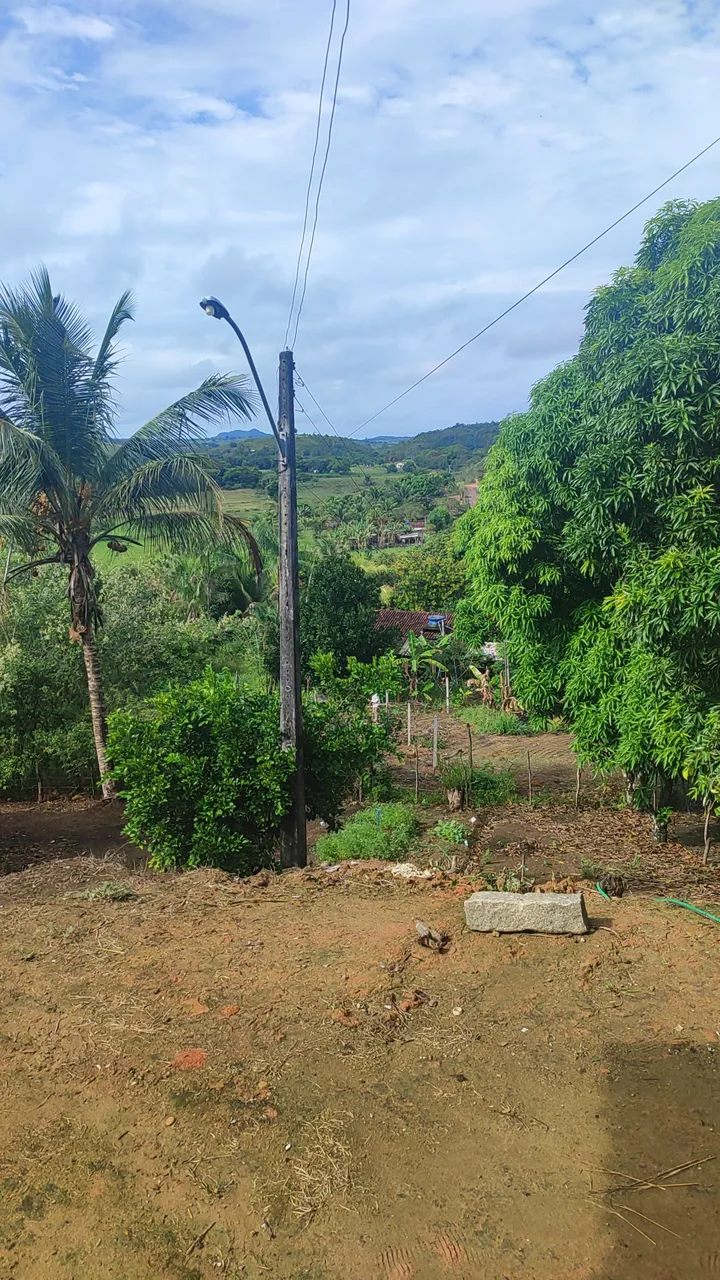 Sitio 15 hectares flecheiras