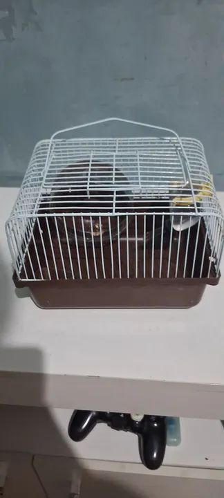 Gaiola para Roedores