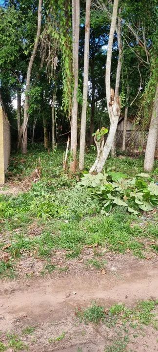 Foto - Santarém - Diamantino