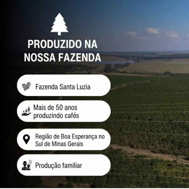 Café Especial Microlote Guanabara Uva Verde 250 g - Torra Média - Foto 5