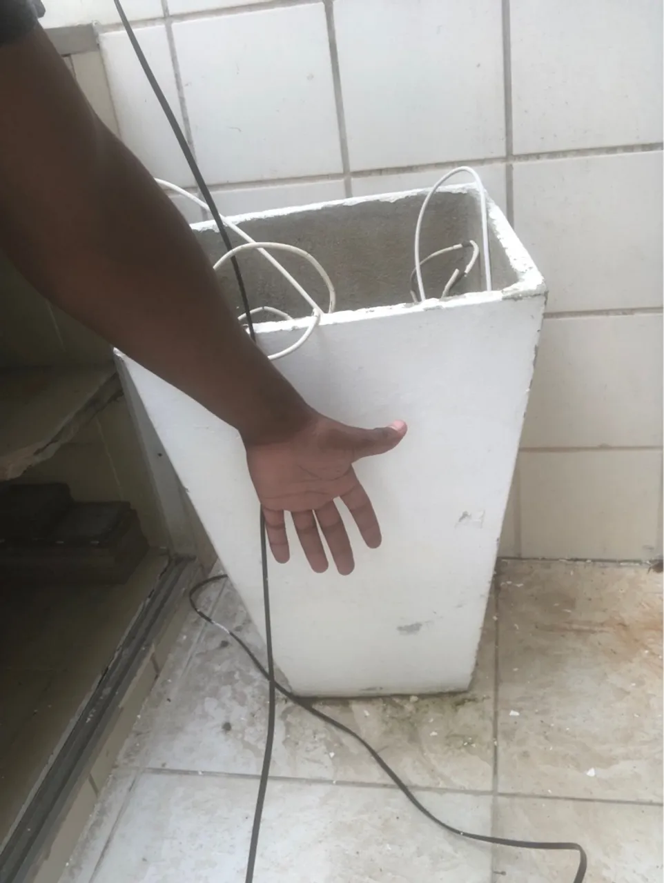 Vaso de Planta Grande e Moderno
