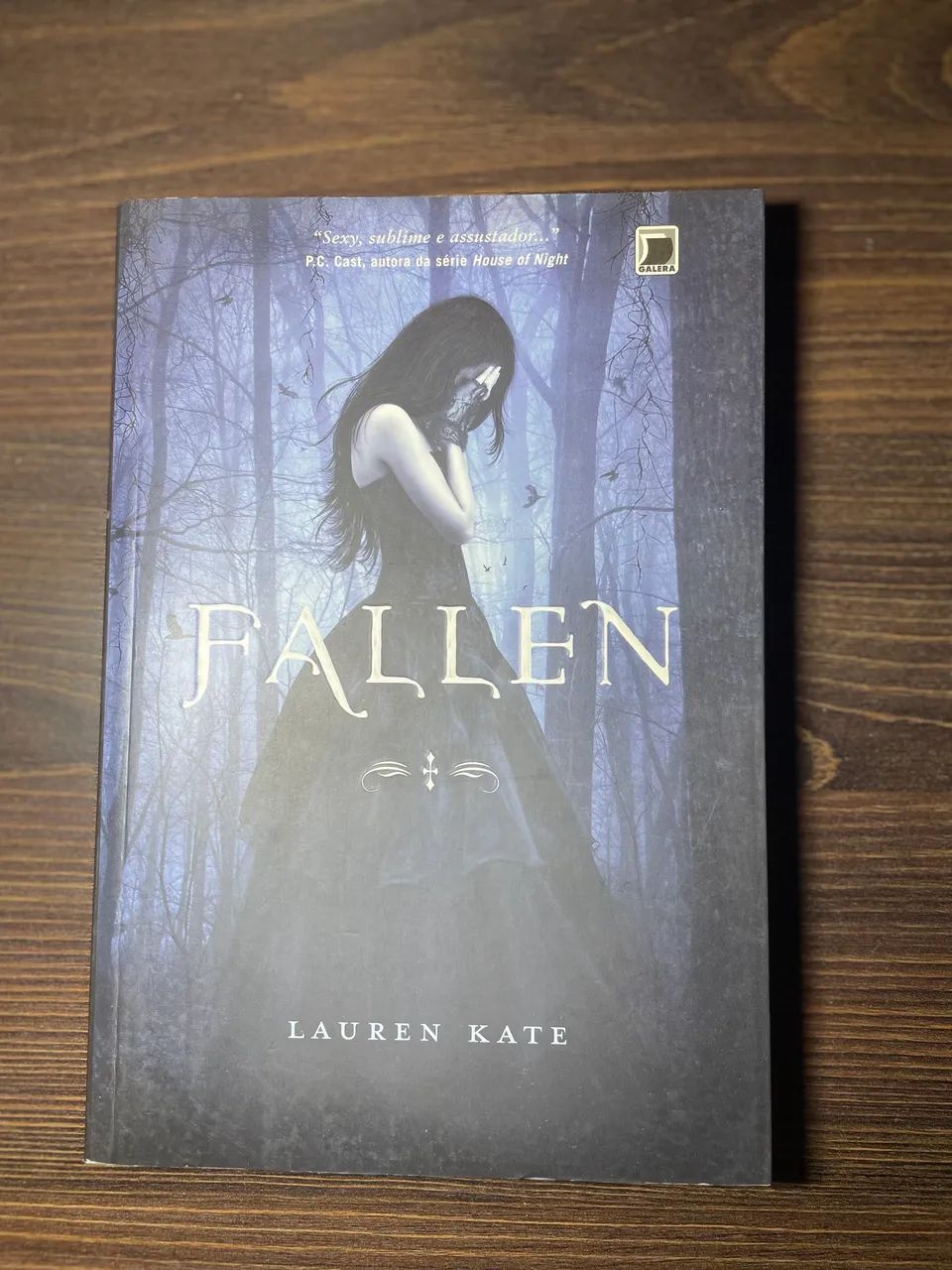 Livro Fallen - Lauren Kate  - Foto 2