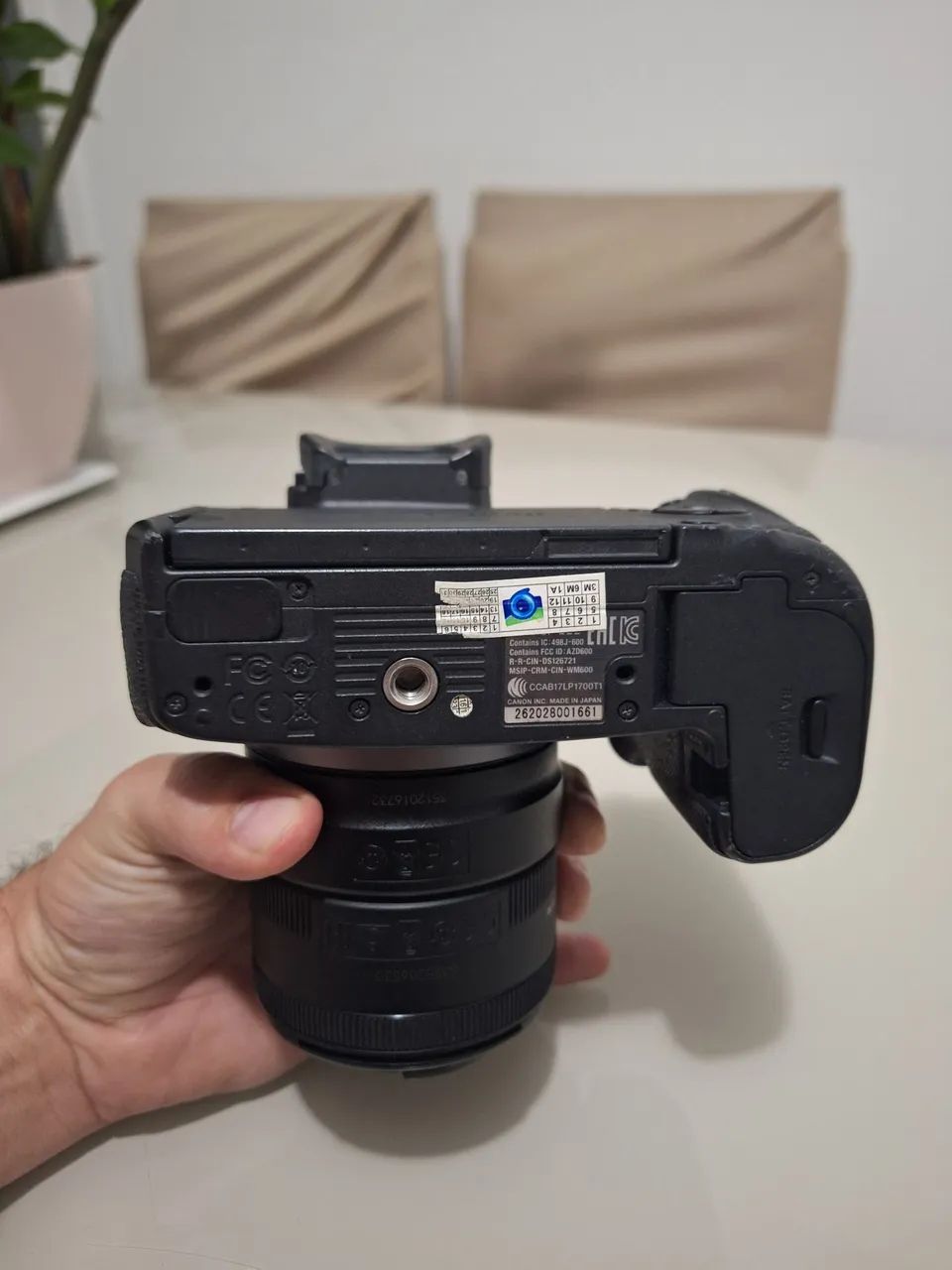 Canon Eos R  - Foto 3