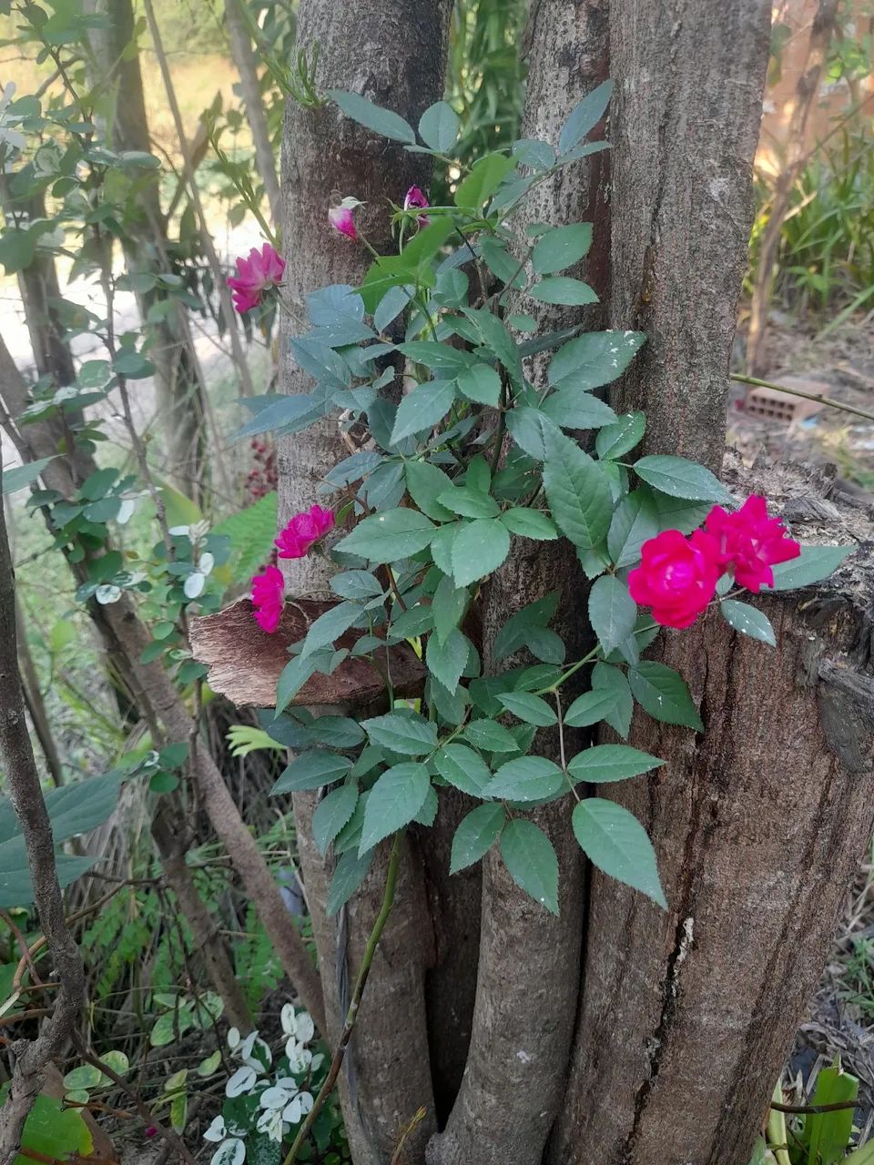 Templo Igreja  - Foto 5