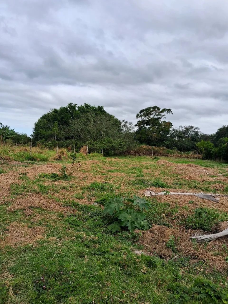 LINDO TERRENO - Foto 2