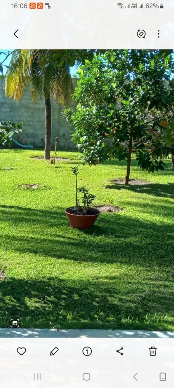serviço de jardineiro