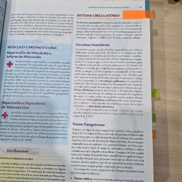 Anatomia orientada para a clínica Moore 6 edição - Foto 3