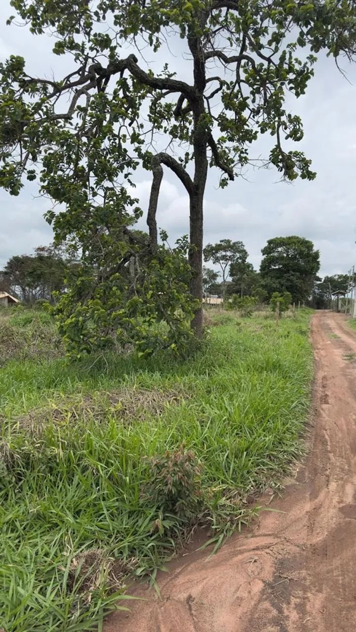 Vendo lote itatiuçu  - Foto 3