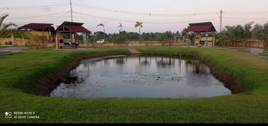 Terreno mares do sul (Alagoas)  - Foto 5