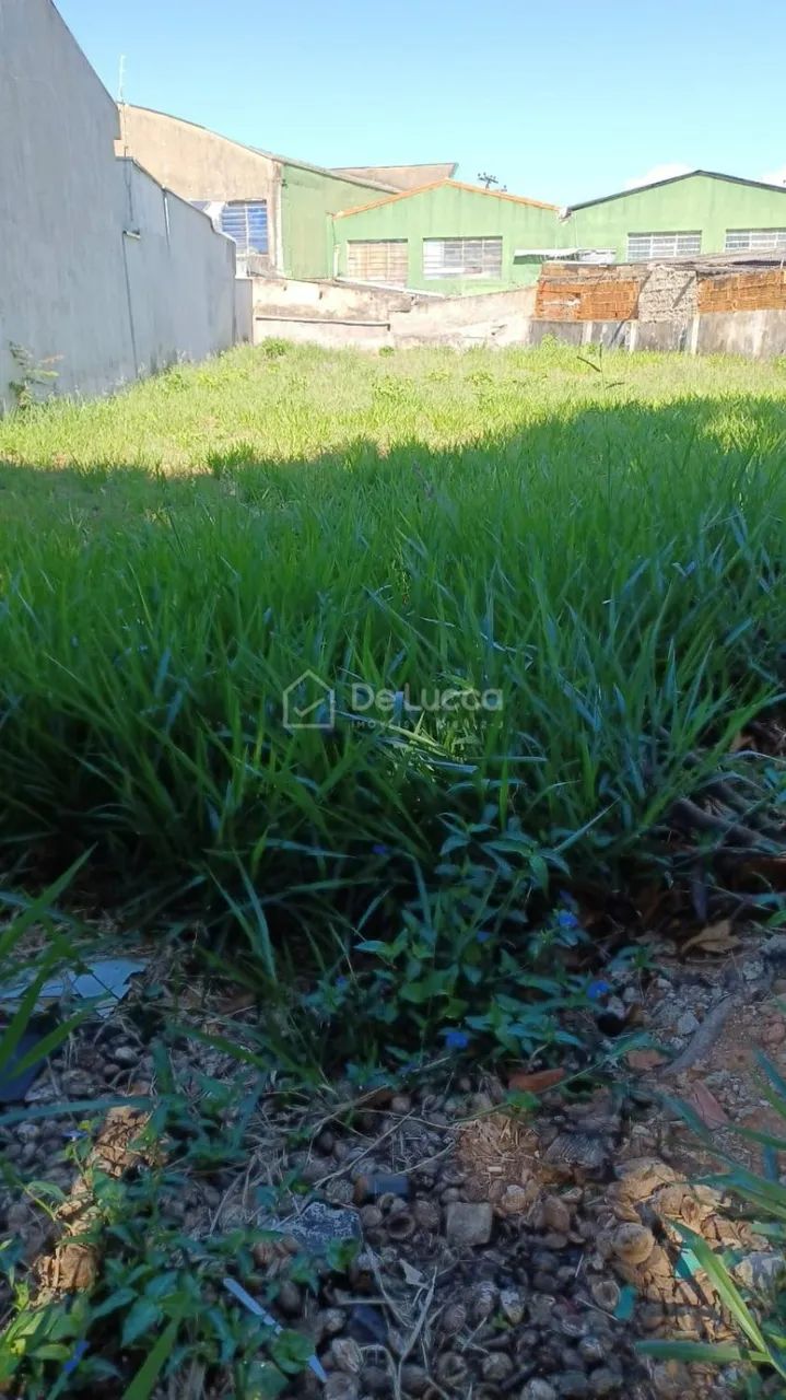 terreno - Jardim do Trevo - Campinas - Foto 3