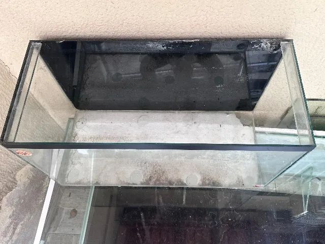 Aquário  - Foto 2