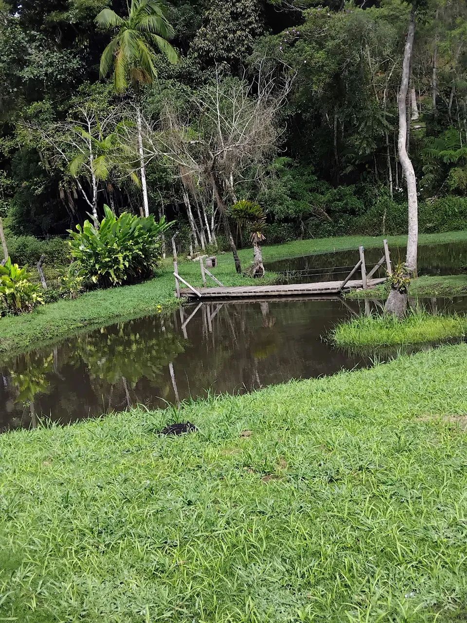 Chácara para temporada  - Foto 5