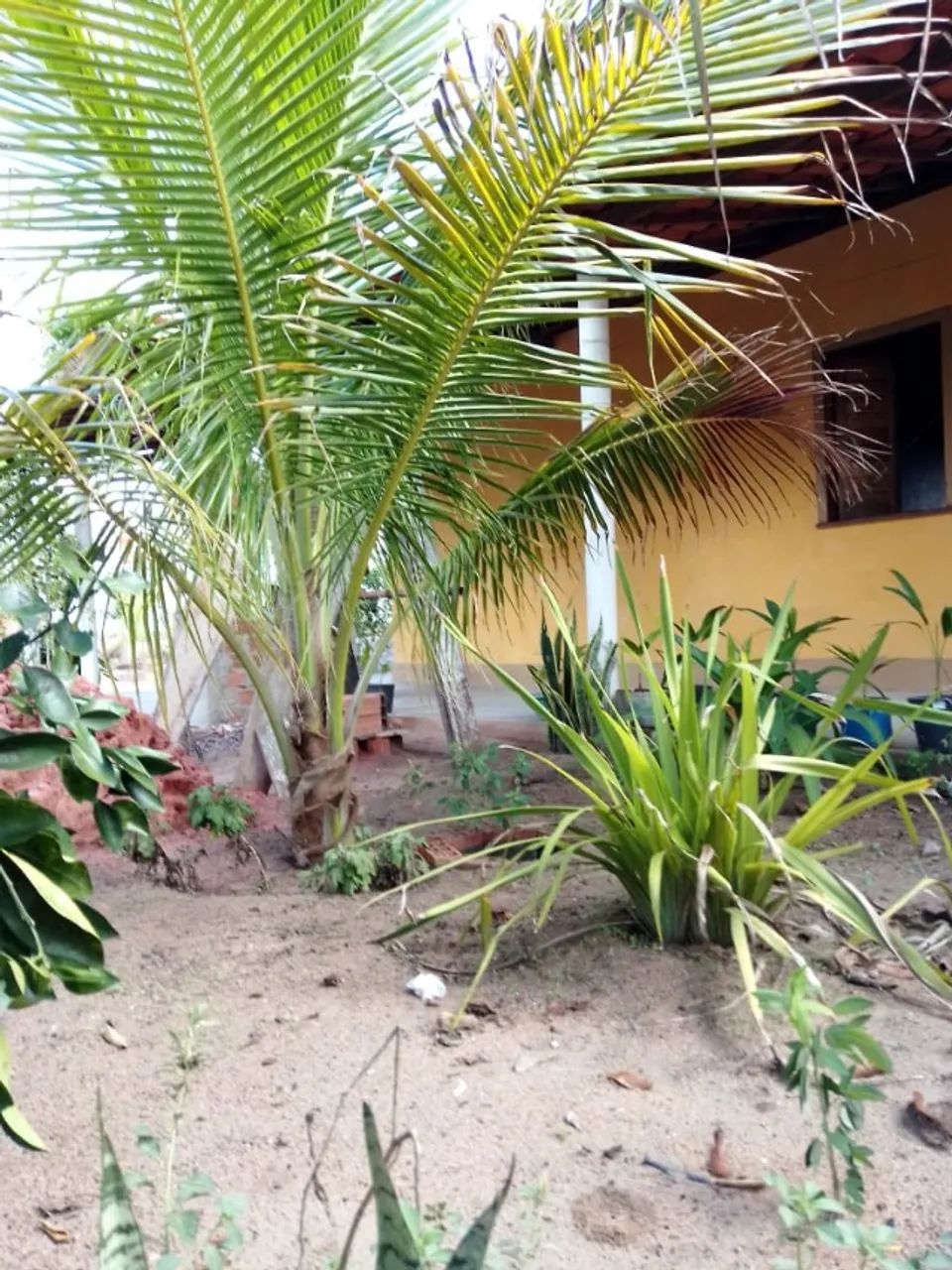 Foto - Serrinha - 