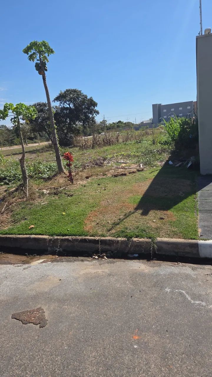 Terreno Jardim Riva próximo a avenida e a o centro - Foto 5