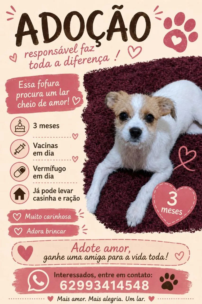 Adoção responsável. 