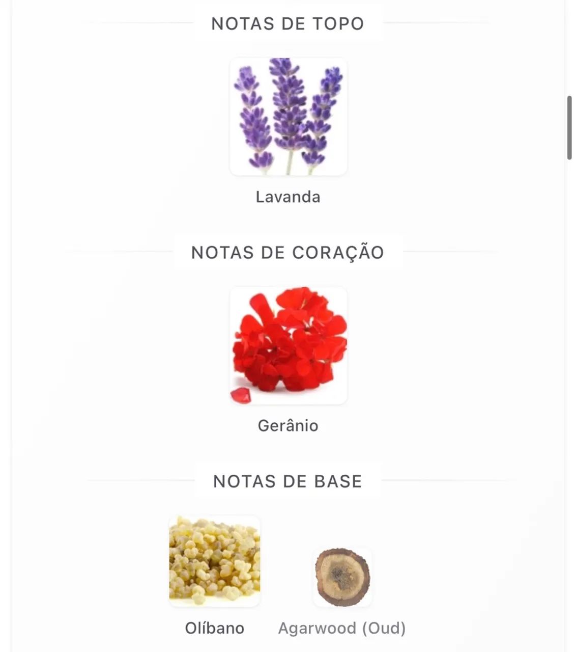 Y Elixir 5ml sem caixa - Foto 3