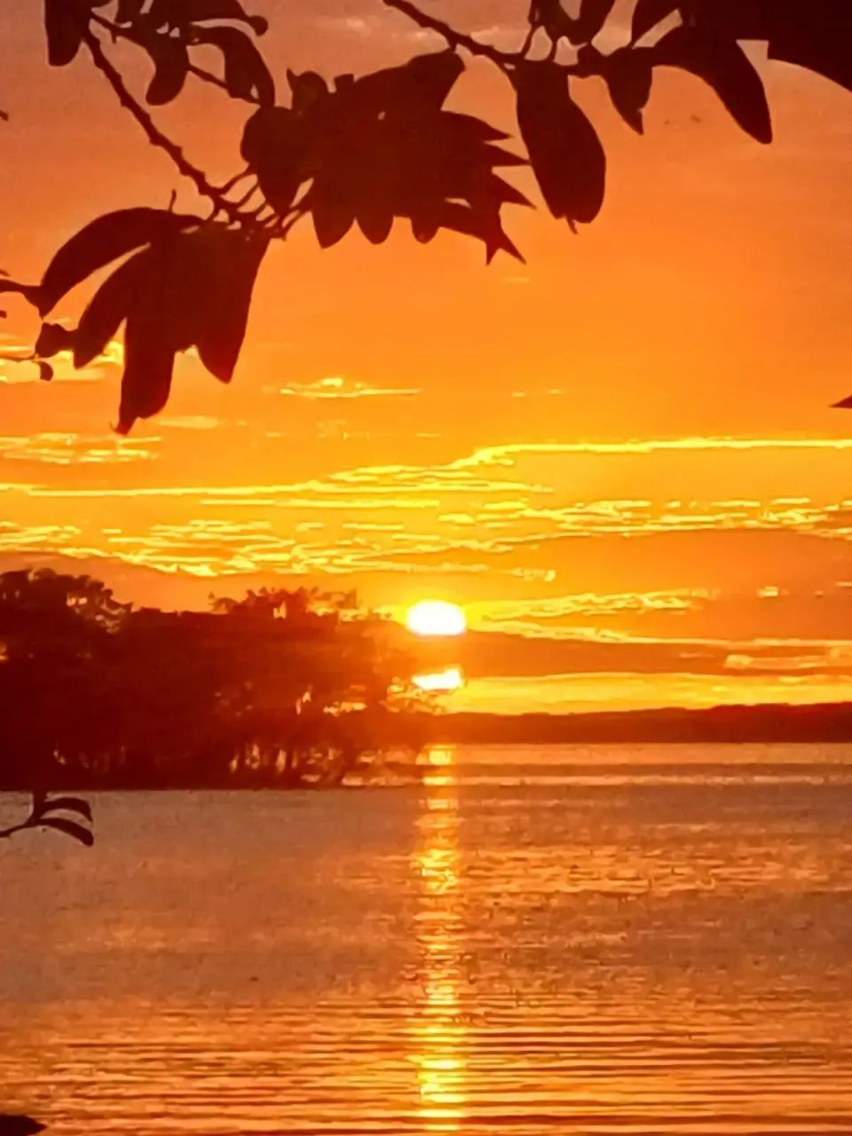 CASA À VENDA codigo: 382452