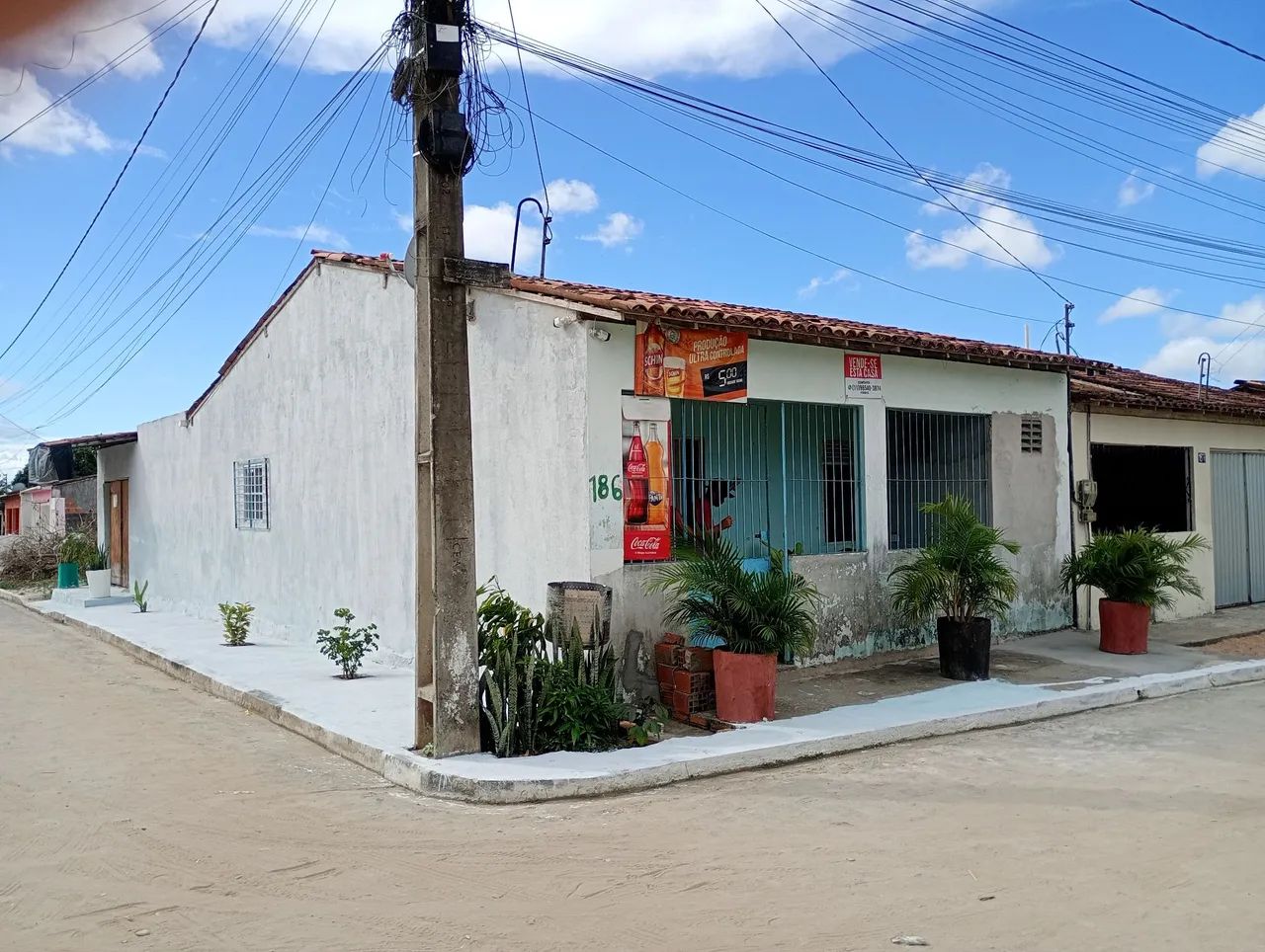 Rita  - Foto 5