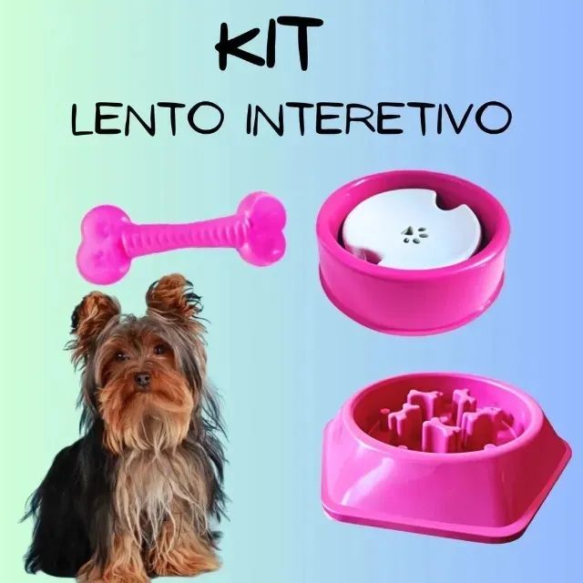 Comedouro lento e Bebedouro para animais - Foto 2