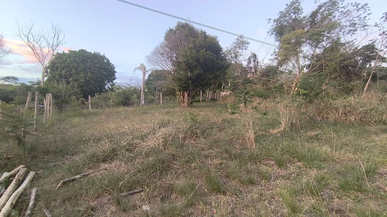 Foto - Iguaba Grande - Coqueiros