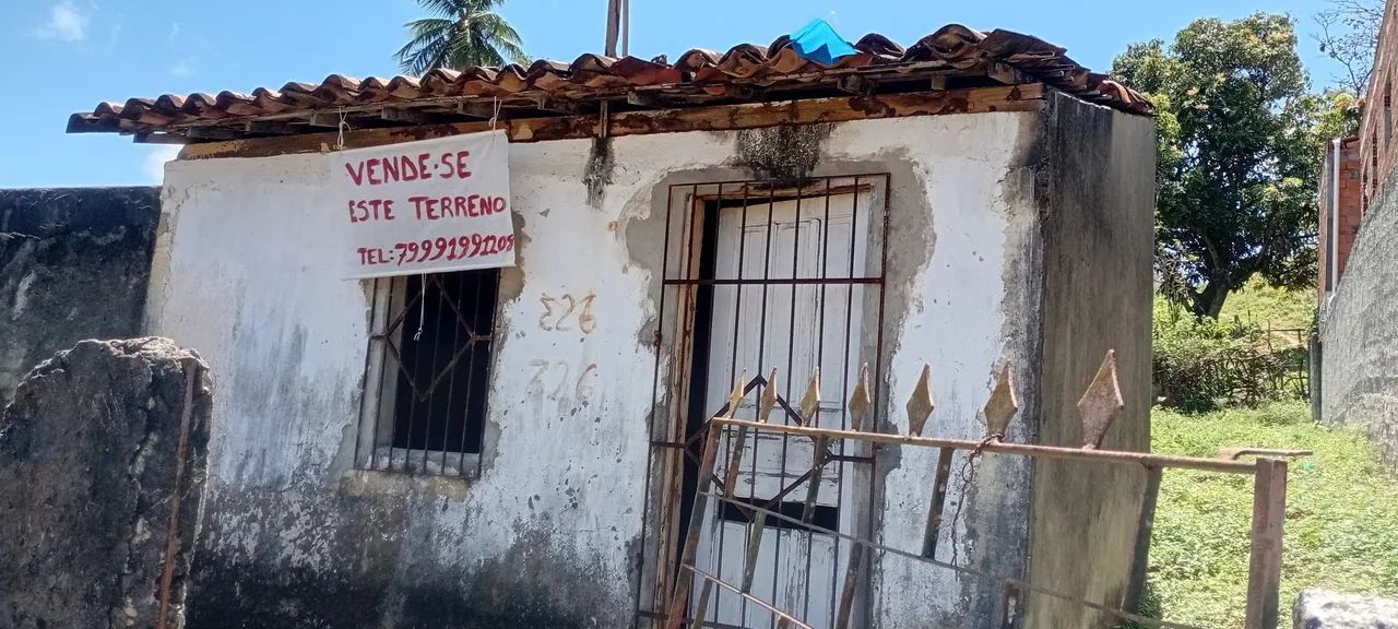 Terreno 
