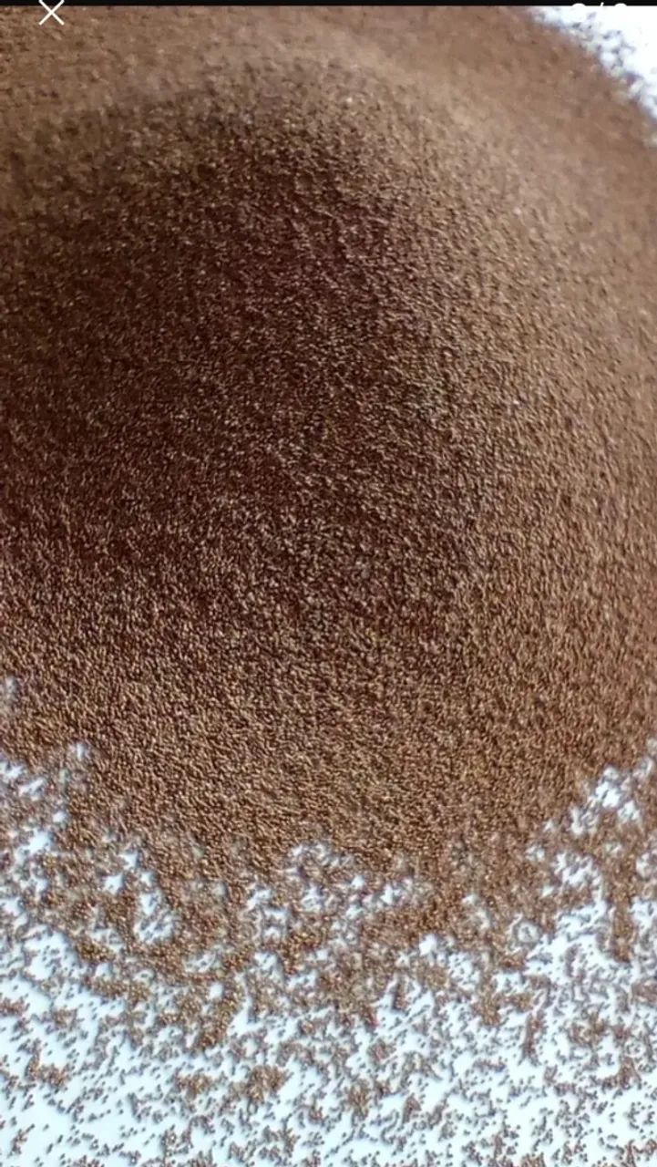 Cisto de artemia salinas 200g 