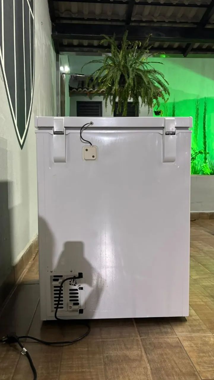 Freezer eletrolux 141 litros  - Foto 2
