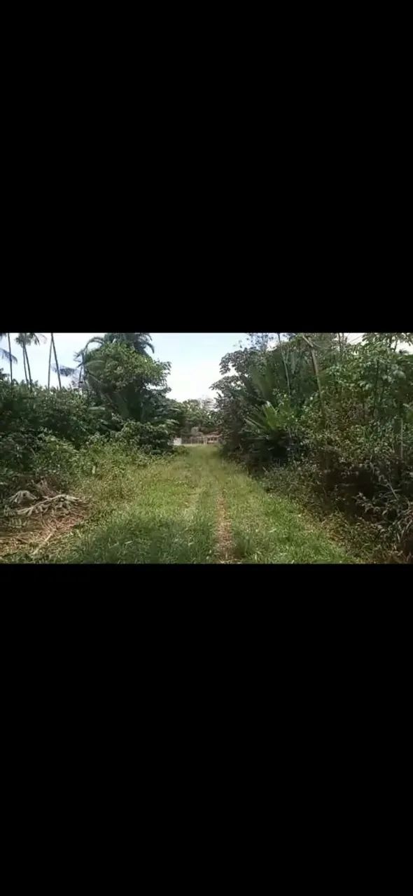 Terreno Abaetetuba - Ipixuna.  - Foto 5
