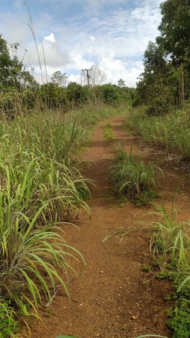 Vendem-se 2 terrenos de 613m2  a 2Km da rotatória da JK com BR 010 - Foto 2