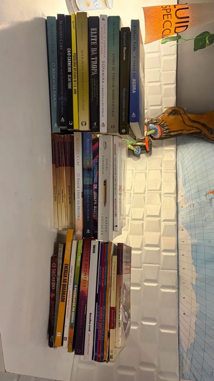LIVROS 