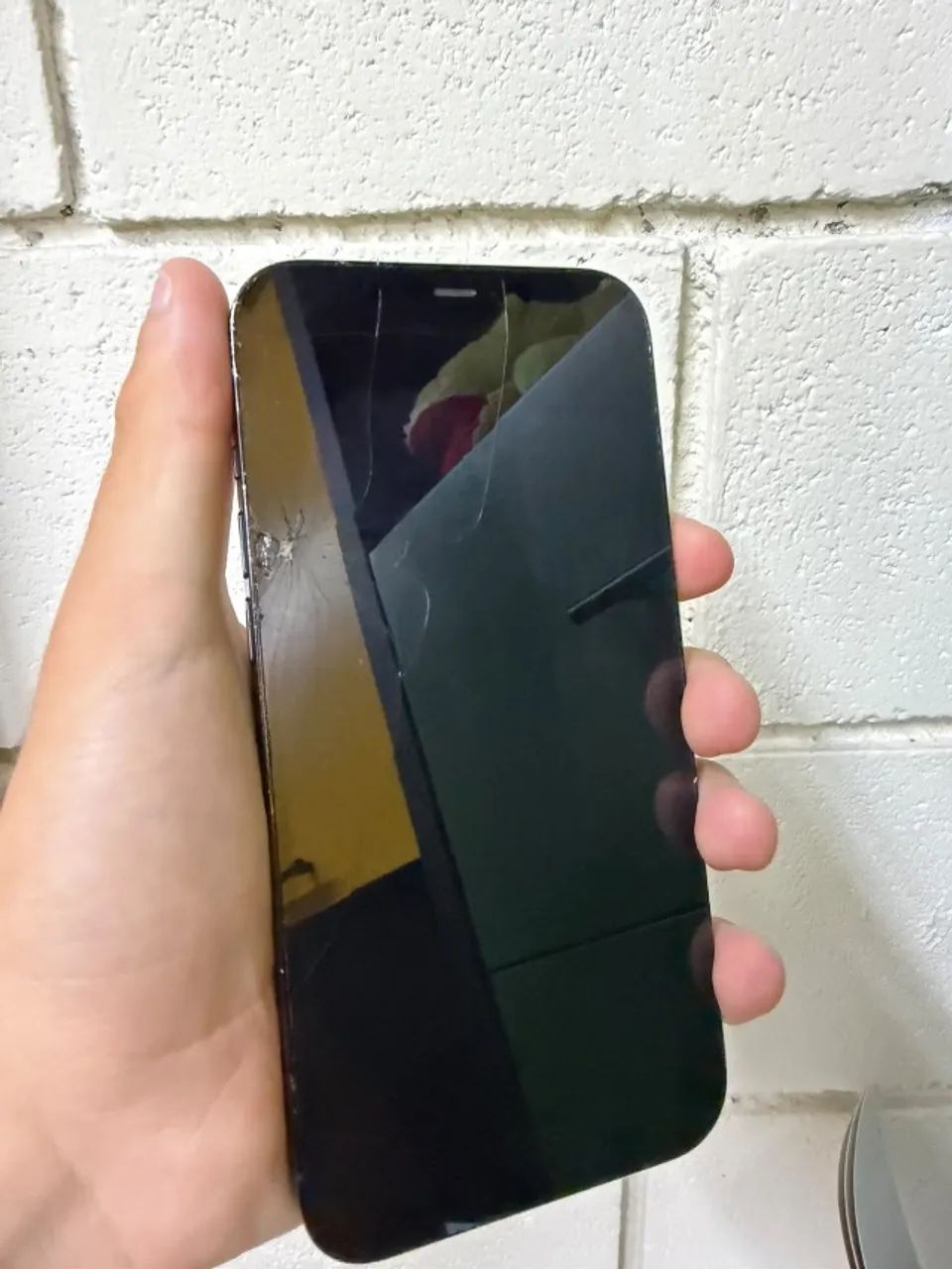 iPhone 12 Pro Max