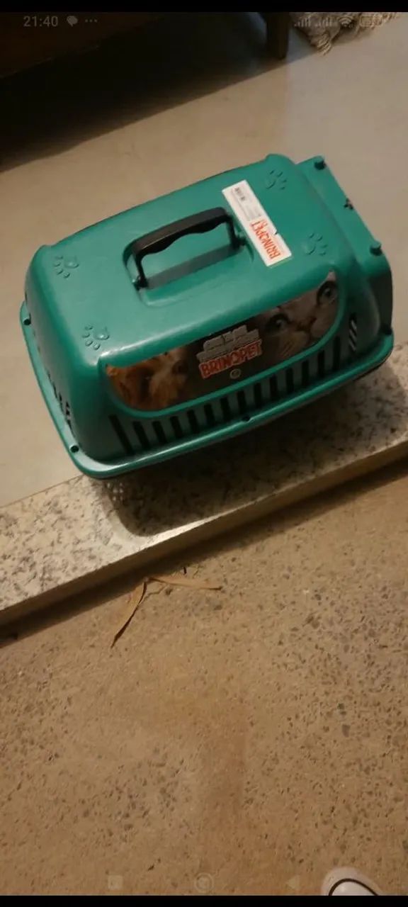 Casinha para gato - Foto 3