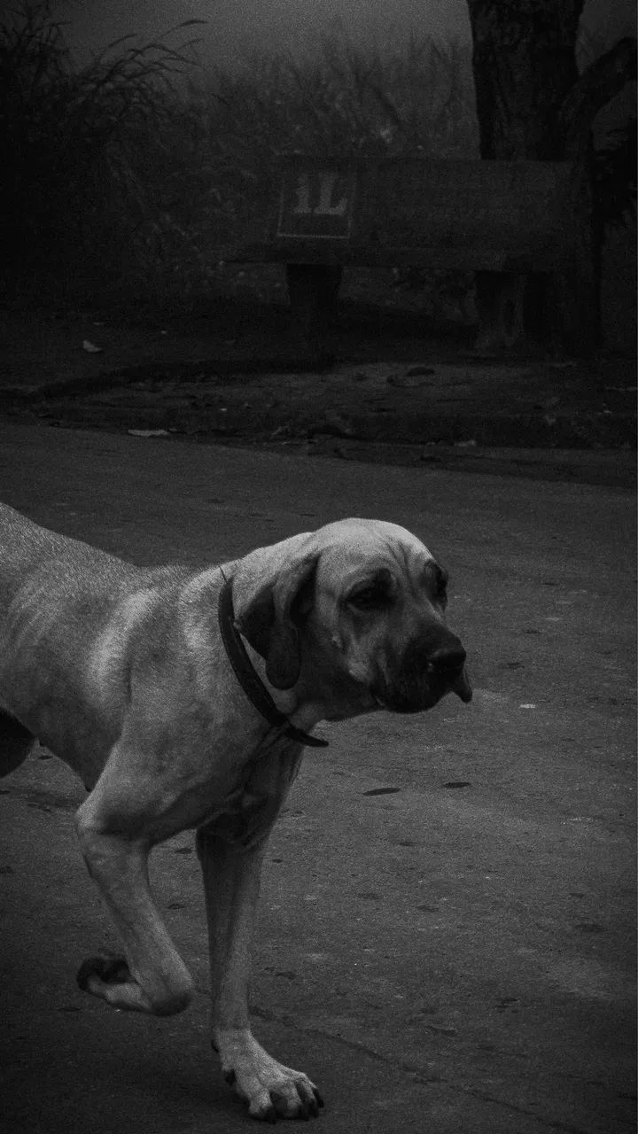 Fujifilm x10  - Foto 4