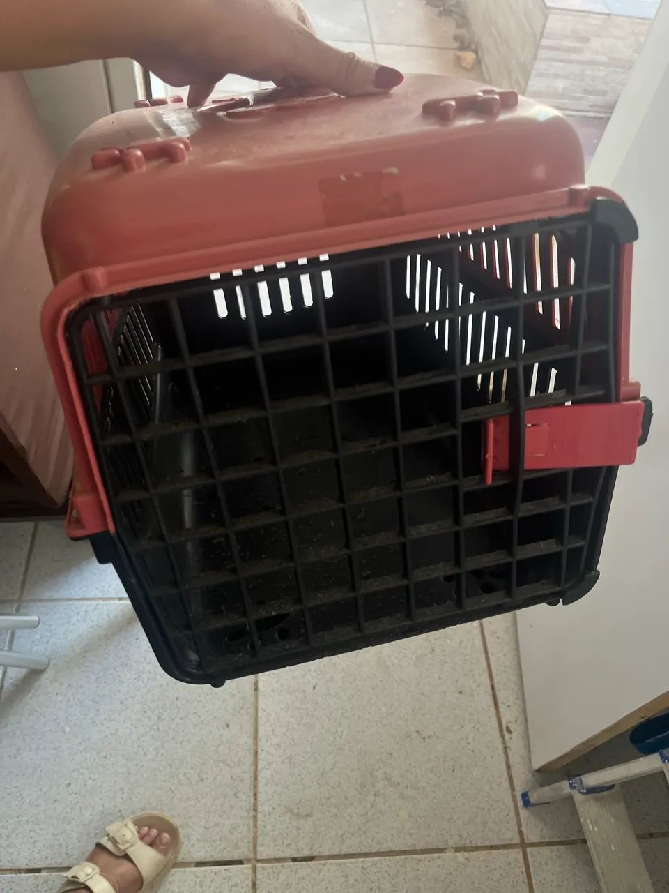 Caixa transporte pet - Foto 4