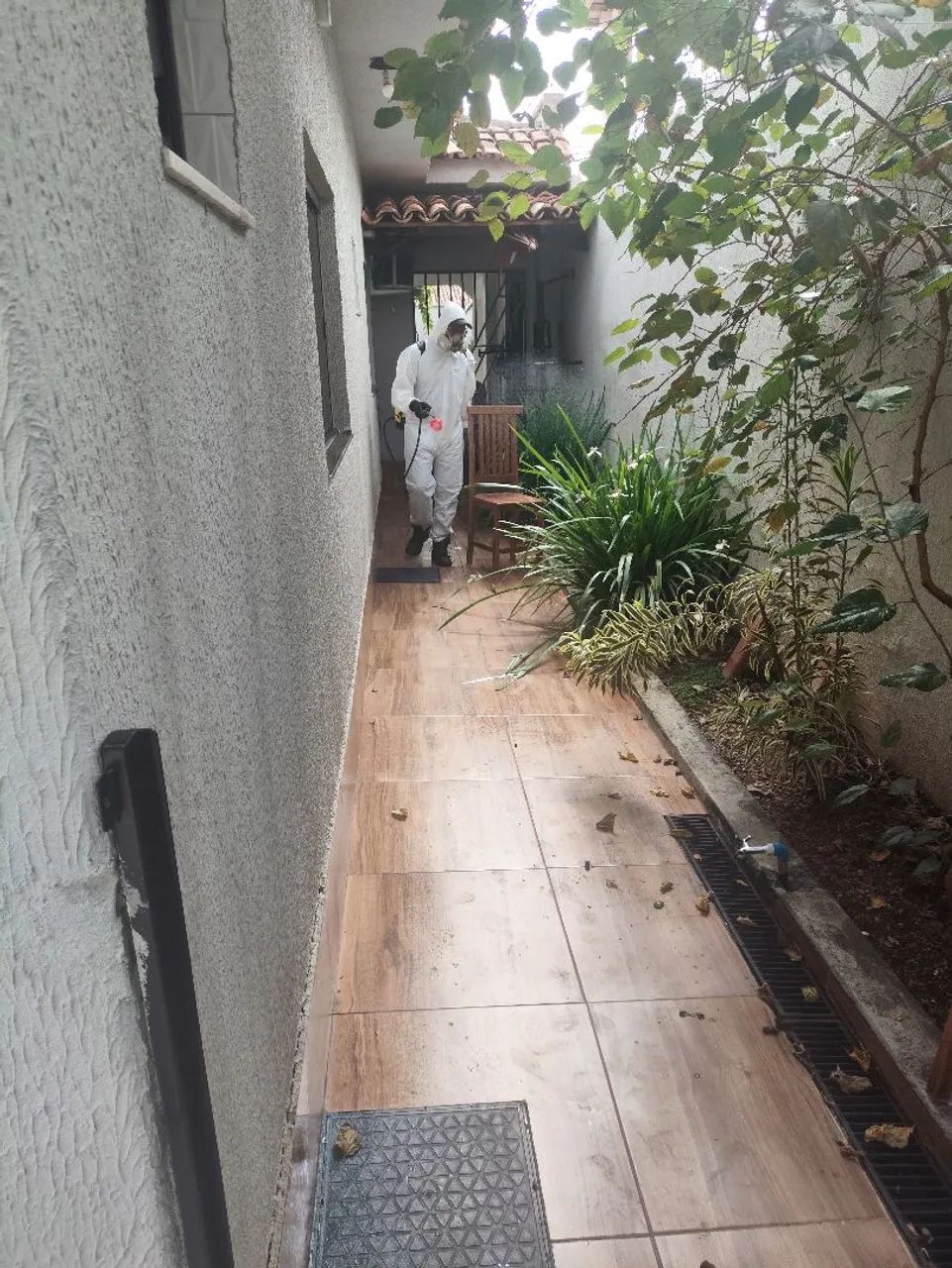 Dedetização  - Foto 2