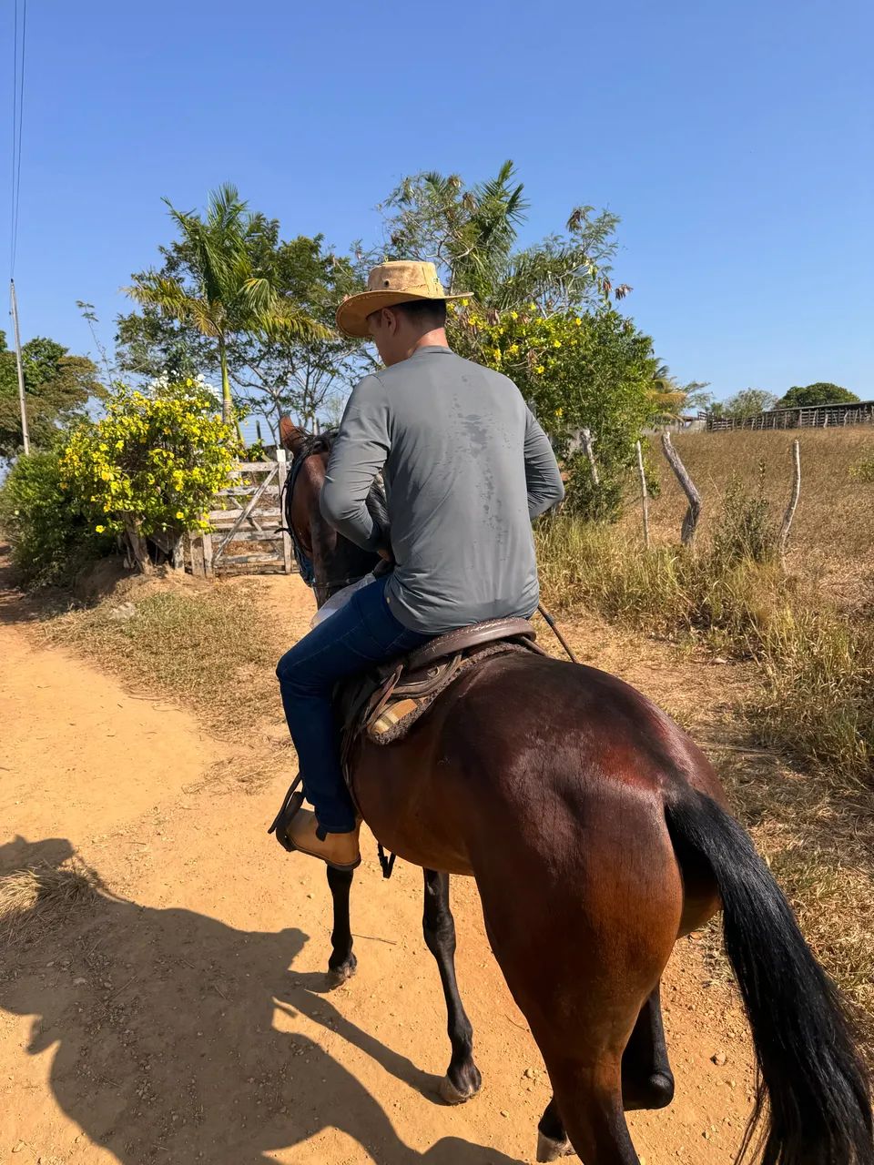 Cavalo Manga Larga  - Foto 5