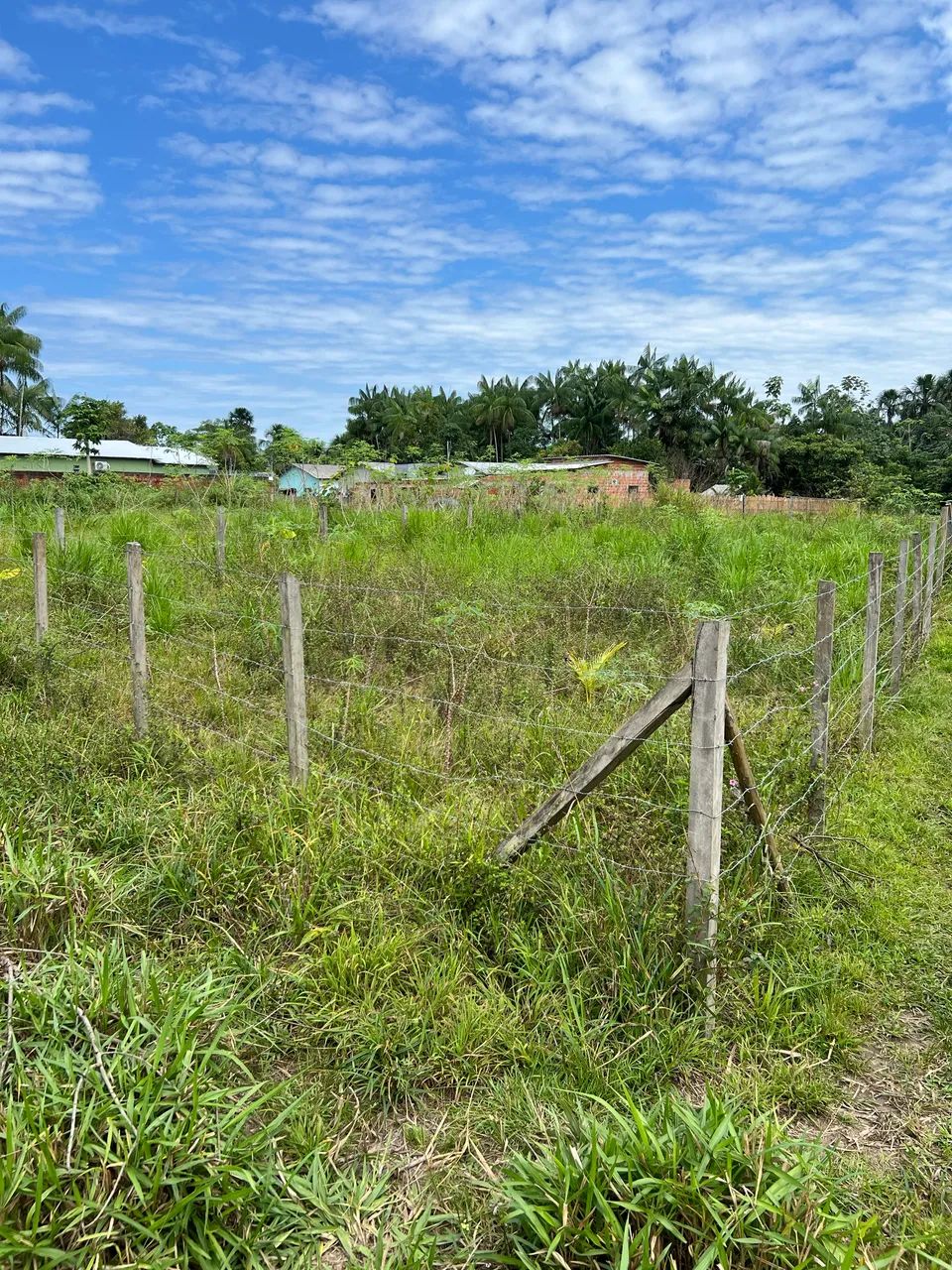Vende-se lote próximo ao asfalto - Foto 2