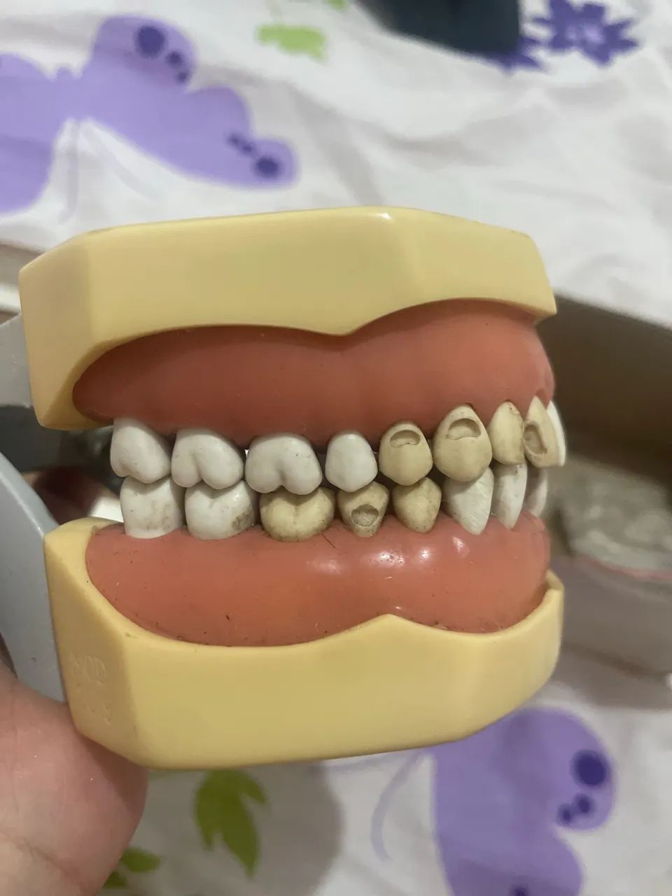 manequim dentistica mom - Foto 4