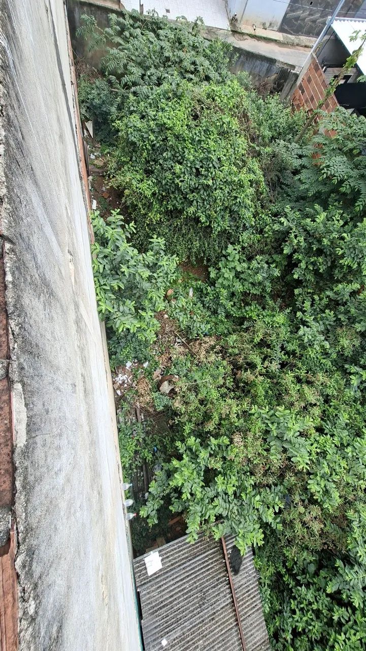 Lote plano 256m² - Foto 4